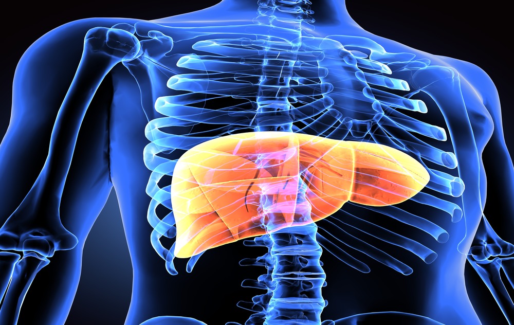 How Does Radioembolization (Y-90) Work?